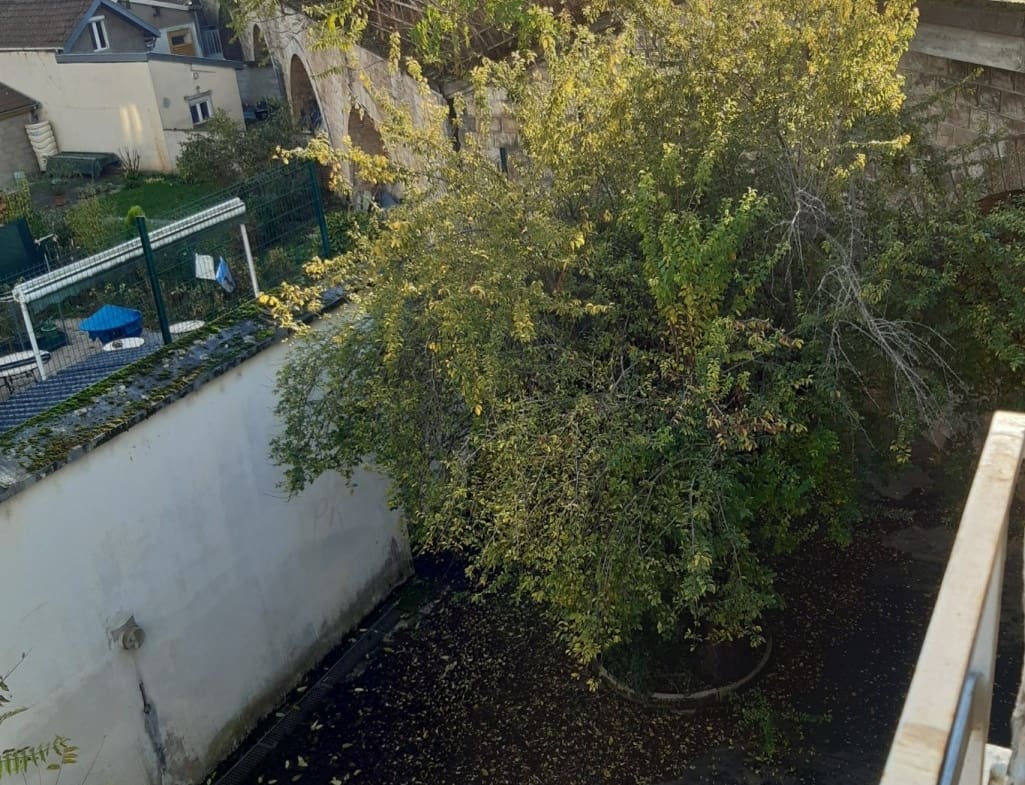 Photo terrasse T1 • Rue d'Auxonne - Dijon