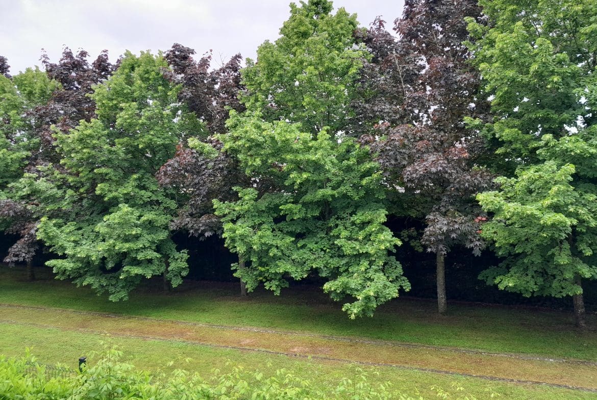 Photo vue T2 • Lazare Carnot - Chevigny Saint Sauveur