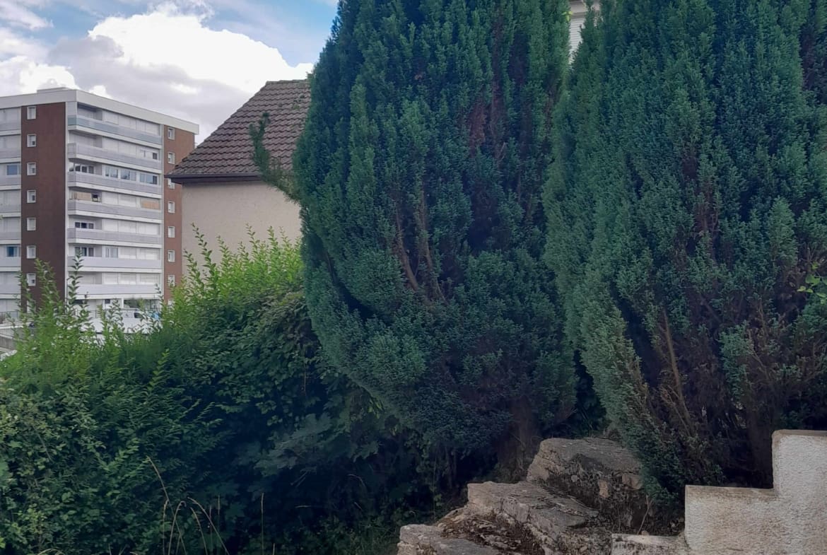 Photo jardin T5 Marcs d'Or Tire Pesseau quartier Fontaine d'Ouche - DIJON