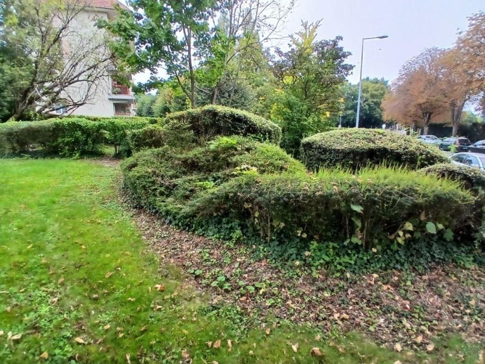 Photo verdure