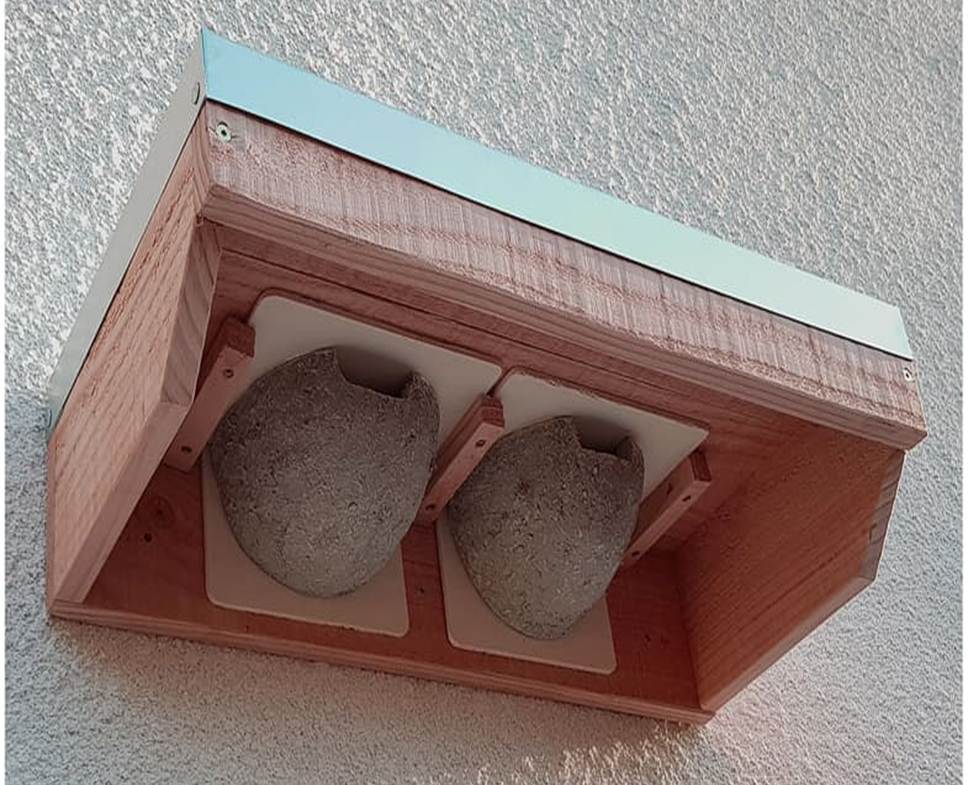 Photo Nichoir hirondelle de fenêtre